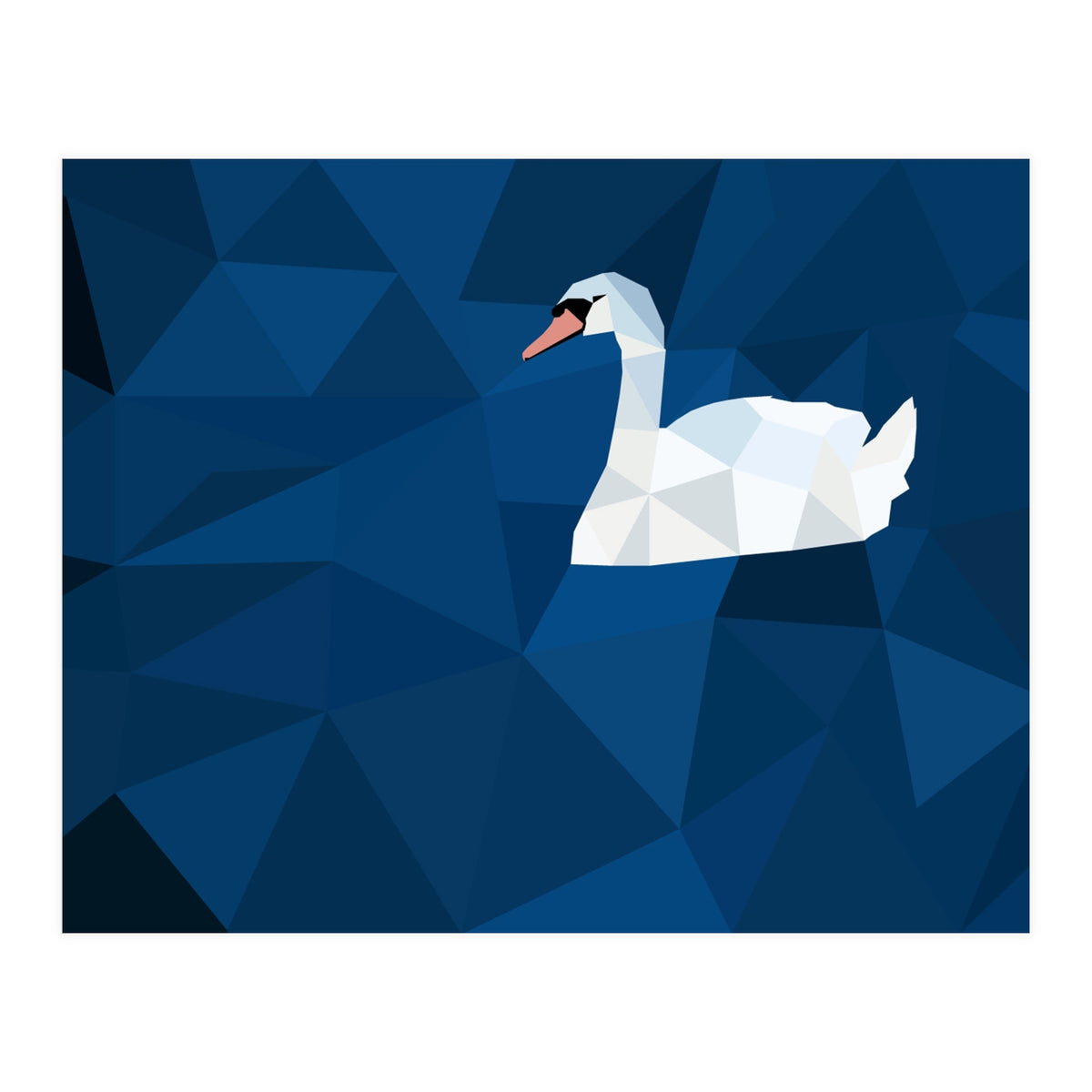 Swan In Water Artwork (Print Only)