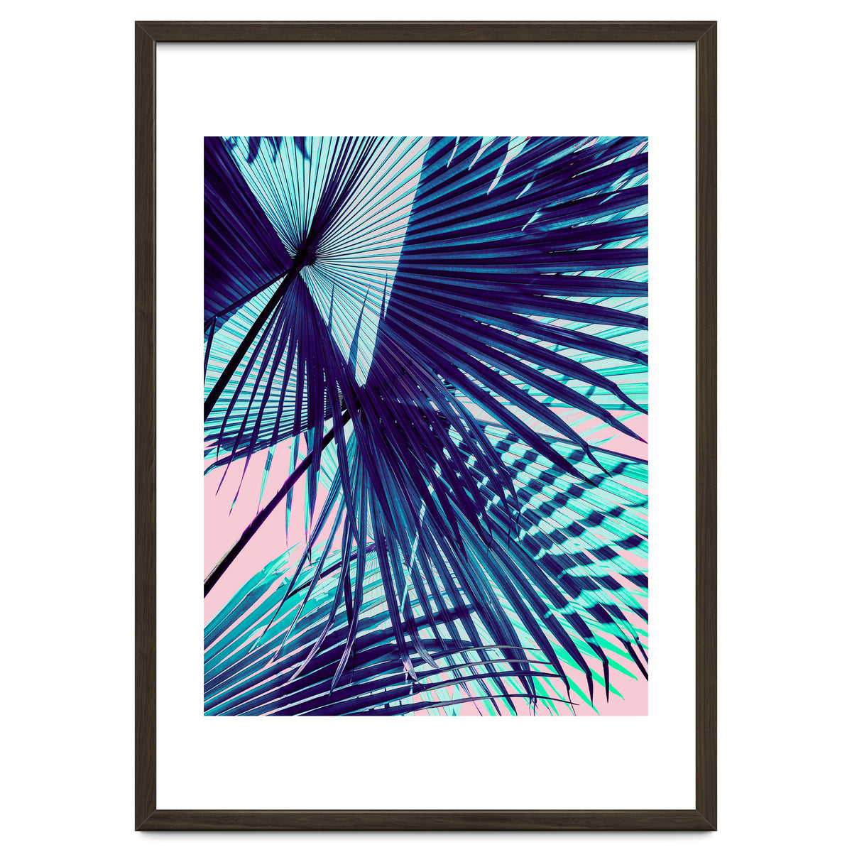 Palm leaf on the beach