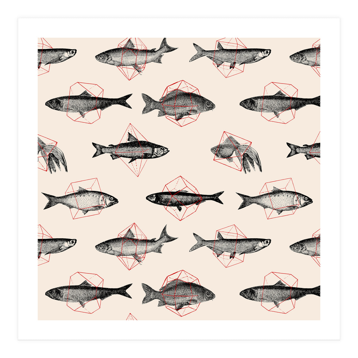 Fish In Geometrics  (Print Only)