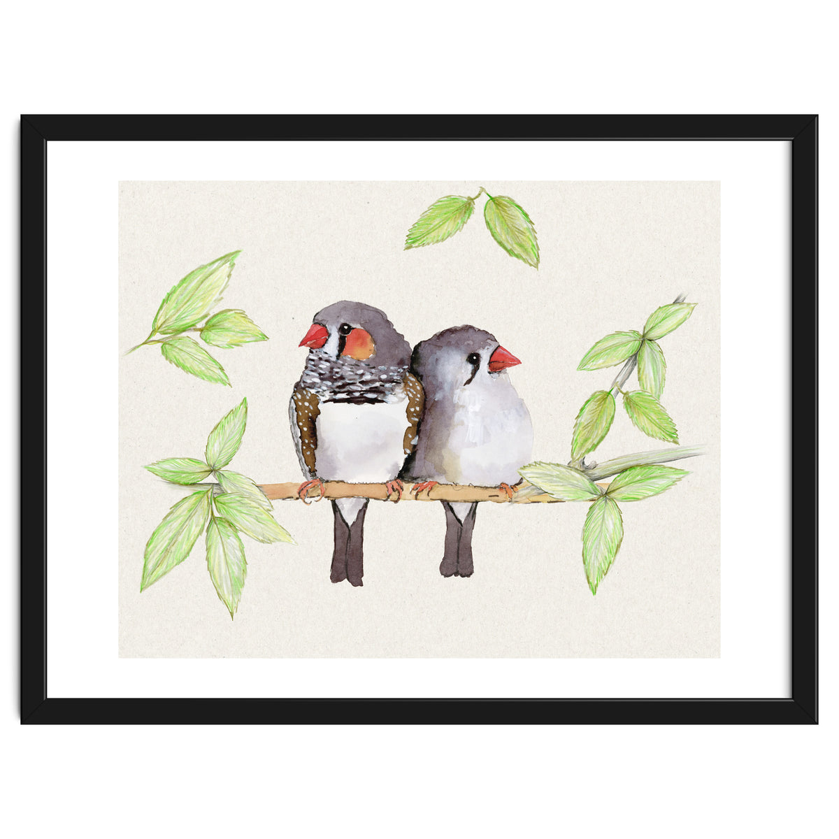 Sweet couple of zebra finches