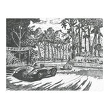 Jaguar C-Type Classic Le Mans Ink Drawing (Print Only) thumbnail