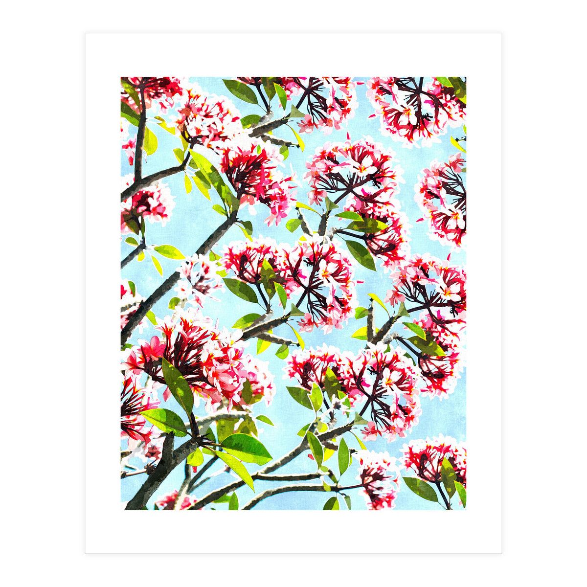 Frangipani (Print Only)