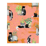 Cats & Plants (Print Only) thumbnail
