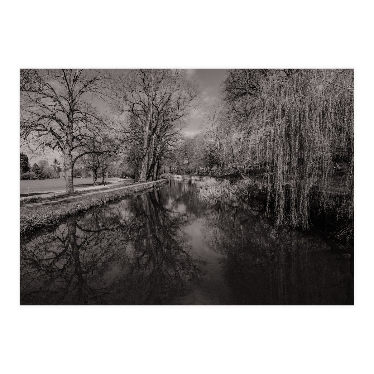 Bute Park, Cardiff  (Print Only)