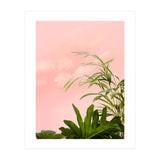Minimal Botanical (Print Only) thumbnail
