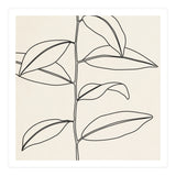 LEAF IN LINE 01 (Print Only) thumbnail