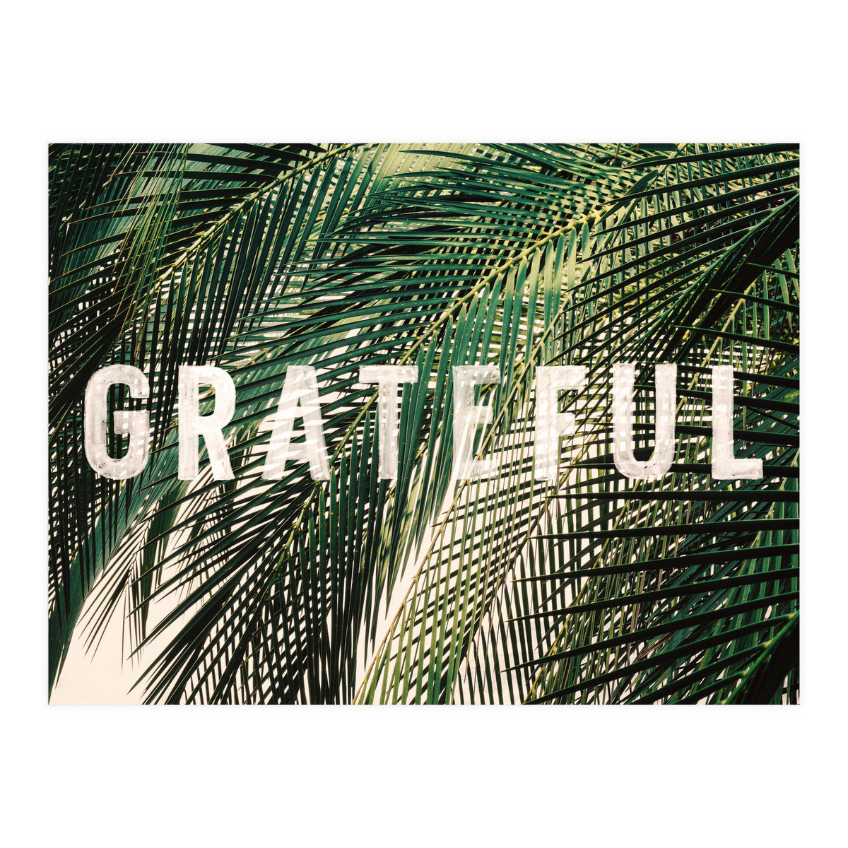 Grateful  (Print Only)