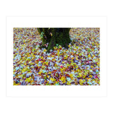 Autumn Leaves (Print Only) thumbnail