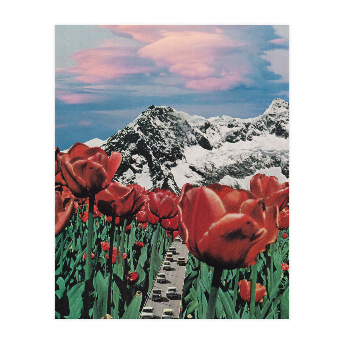 Tulip Road (Print Only)