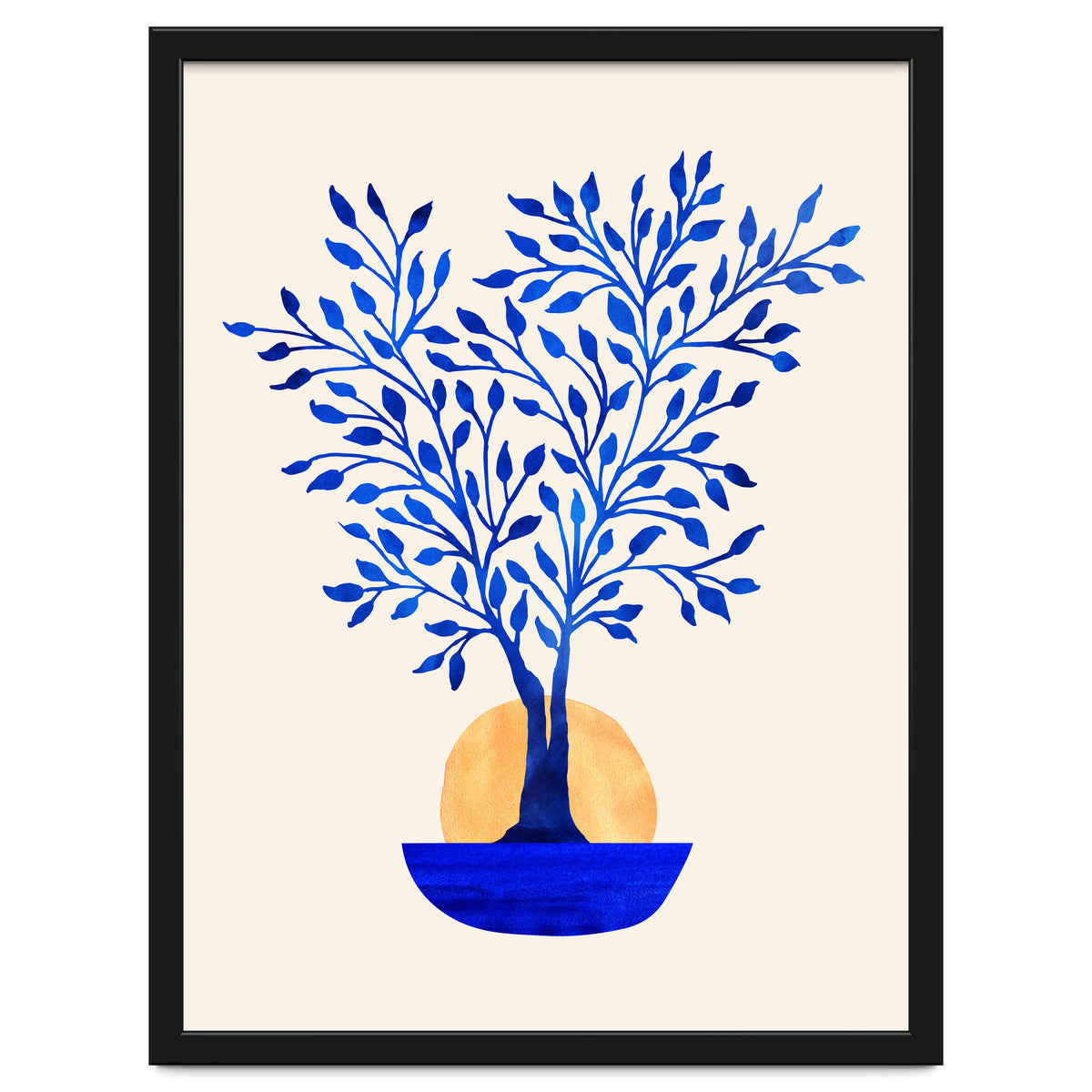 Indigo Ficus Sunrise