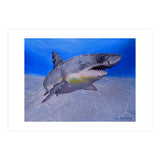 Formidable Beauty (Print Only) thumbnail