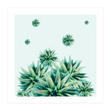 Tropical Stars (Print Only) thumbnail