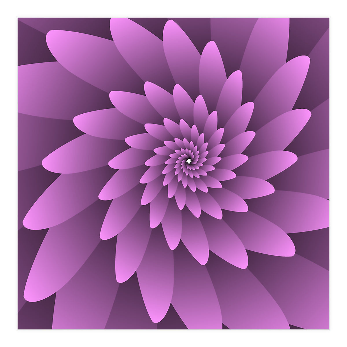 3 D Floral Modern Pink Art (Print Only)