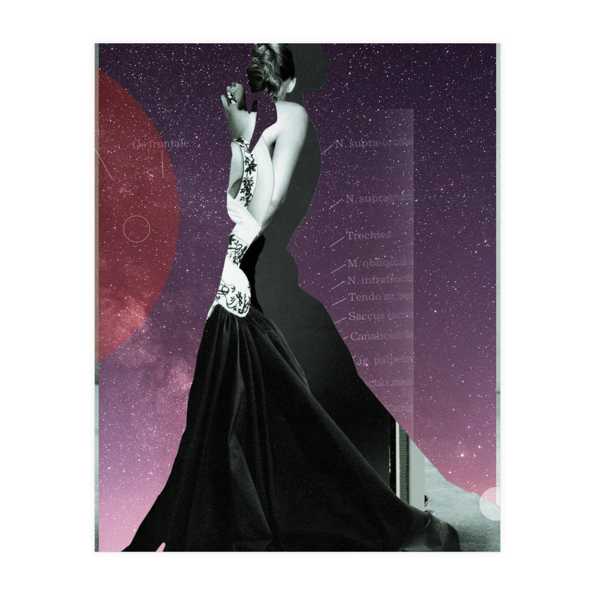 Princess (Print Only)