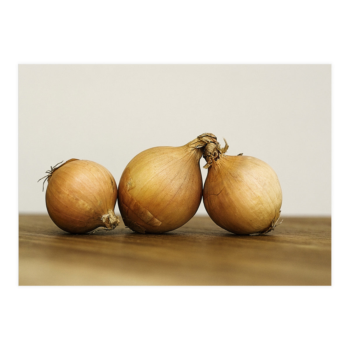 Onions (Print Only)