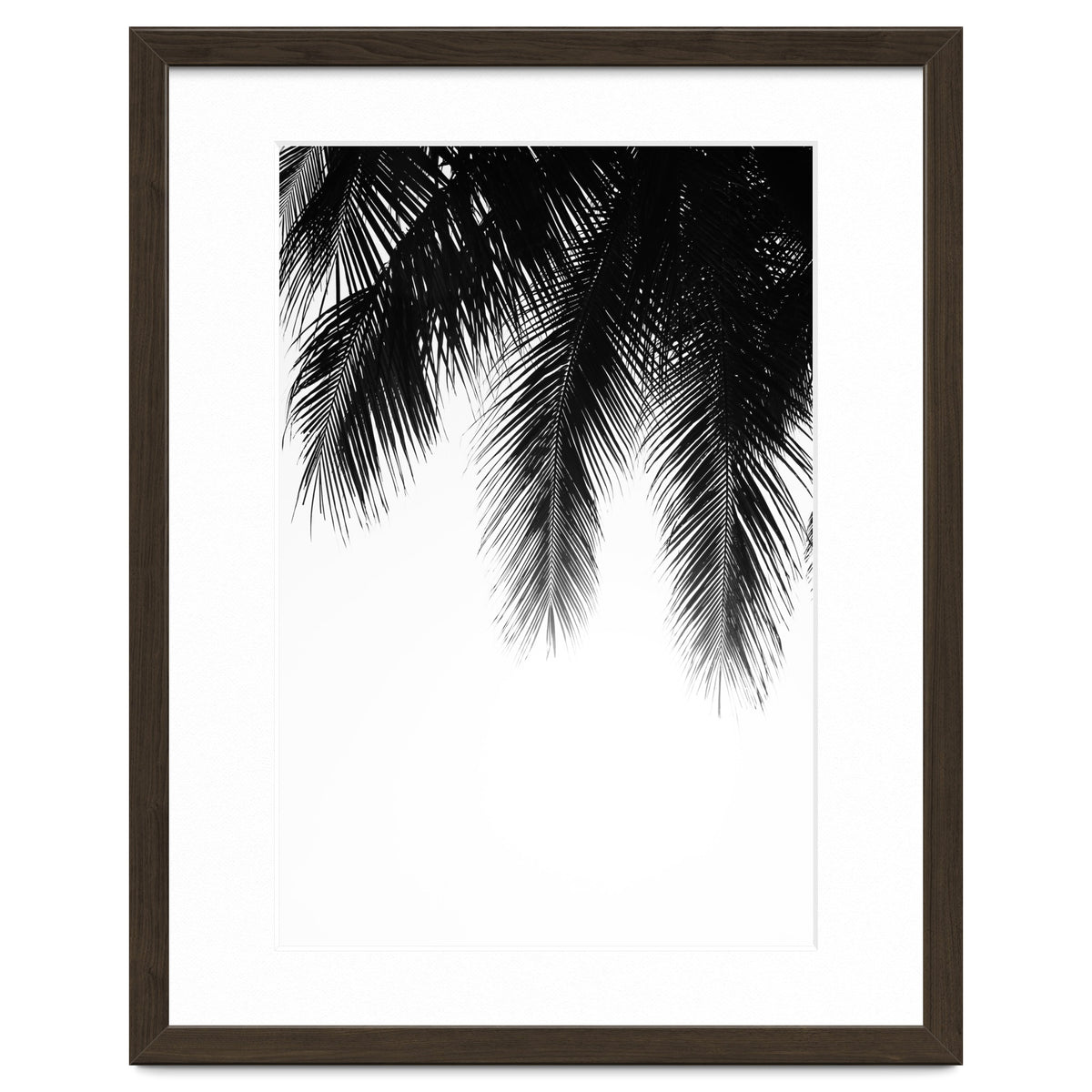Palm leaves