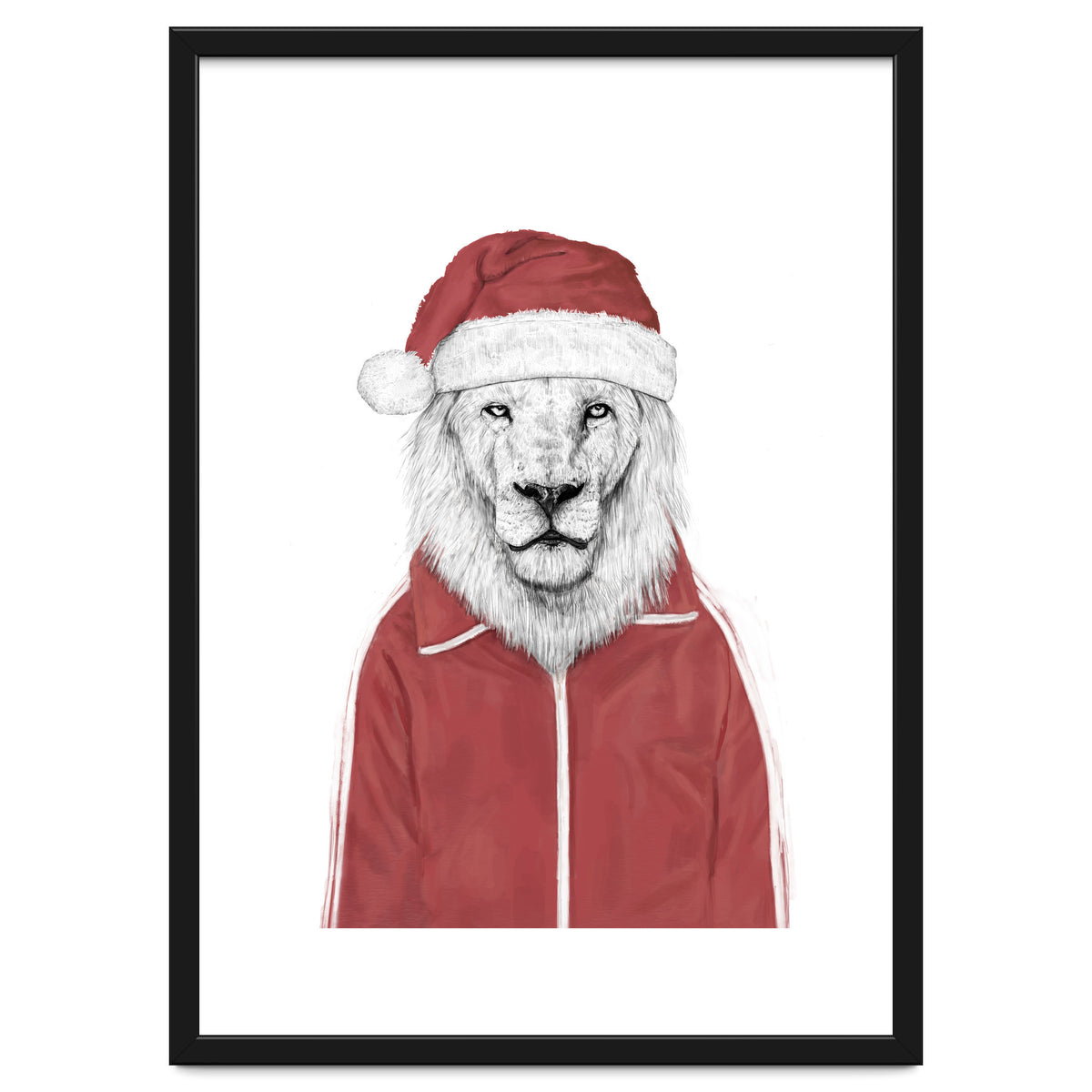 Santa Lion