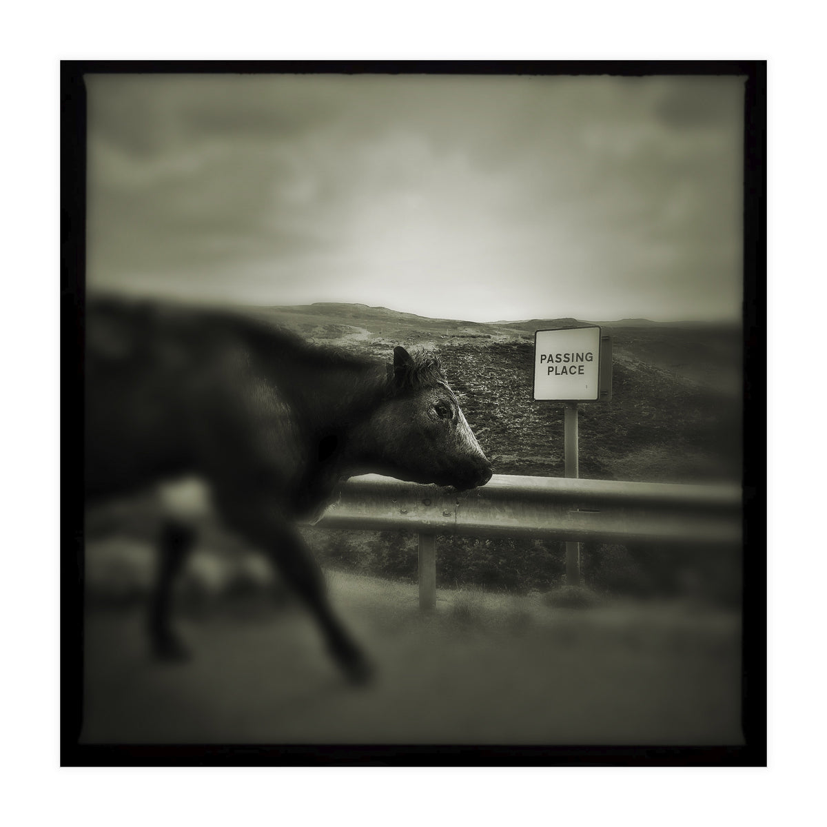 Struan Road (Print Only)