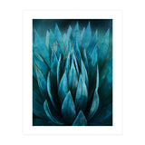 Blue Succulent (Print Only) thumbnail