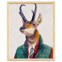 Pronghorn Deer