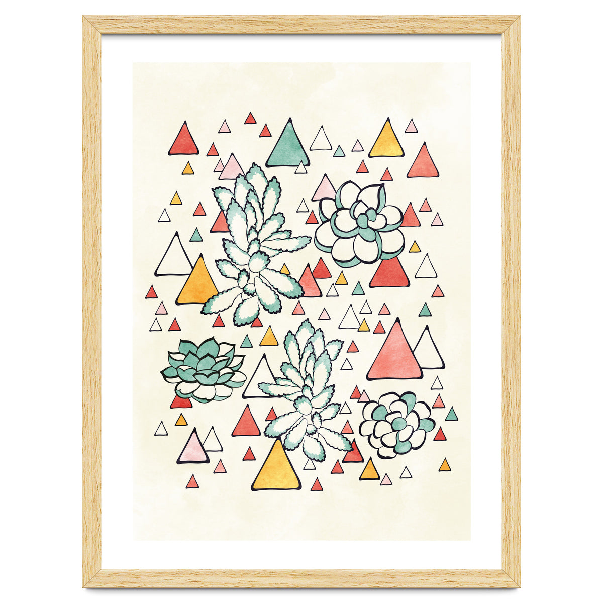 Succulent And Triangles