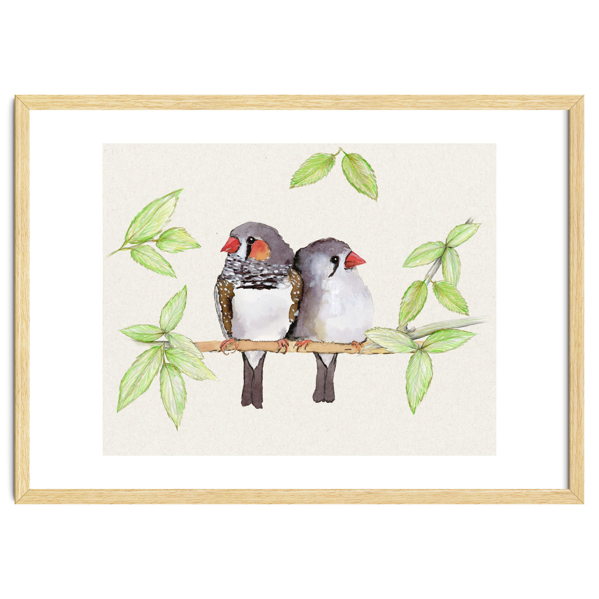 Sweet couple of zebra finches