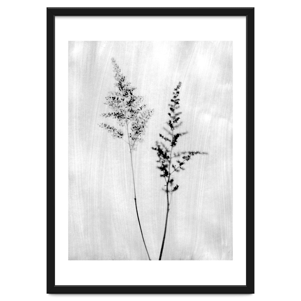 Delicate Wildflowers