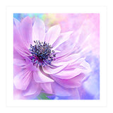 Wispy Purple Anemone (Print Only) thumbnail