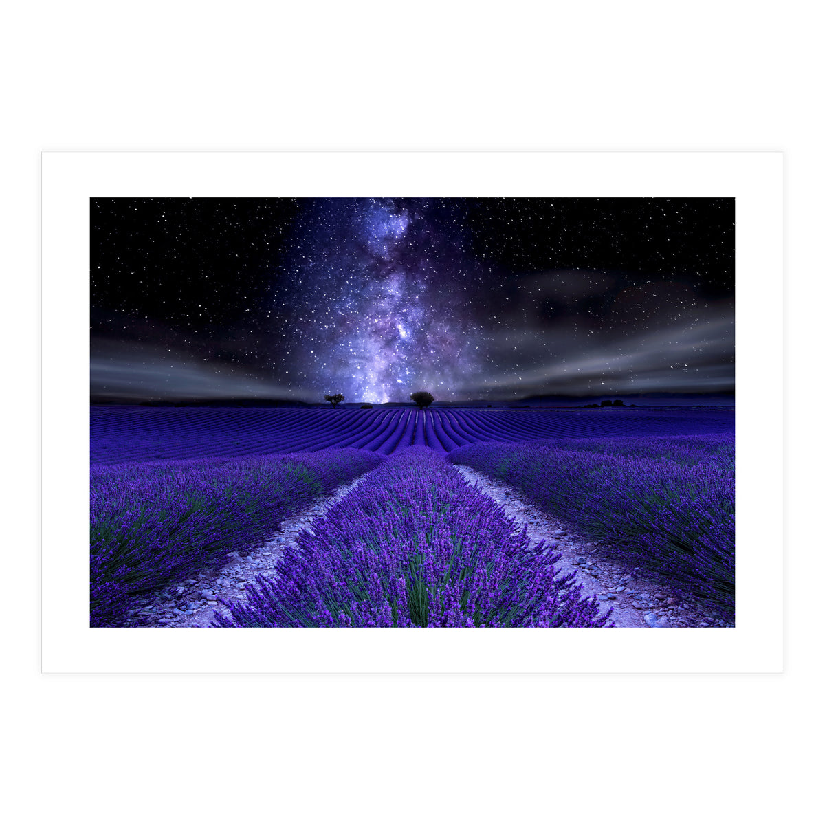 Under The Stars (Print Only)