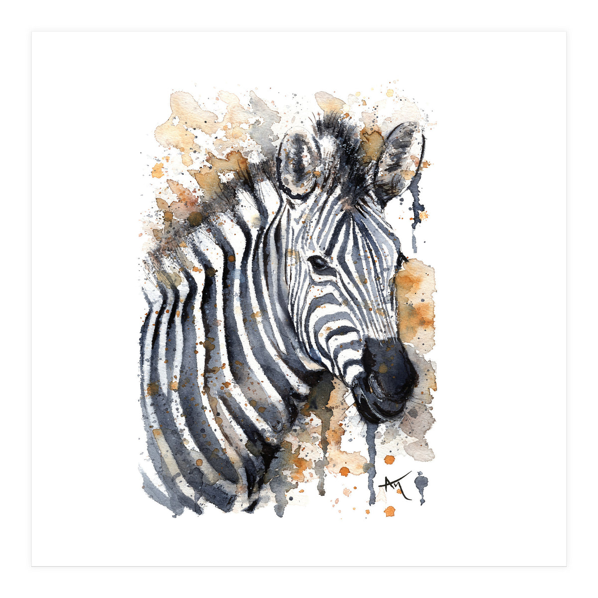 Zebra - Wildlife Collection (Print Only)
