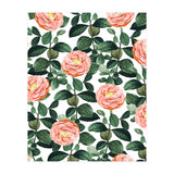Josephine | Vintage Rose Garden Illustration | Bohemian Botanical Floral House Plants (Print Only) thumbnail