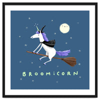 Broomicorn