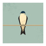 Swallow (Print Only) thumbnail