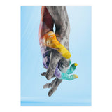 Environmental Issues Hi Res (Print Only) thumbnail