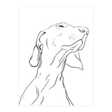 Smell  (Print Only) thumbnail