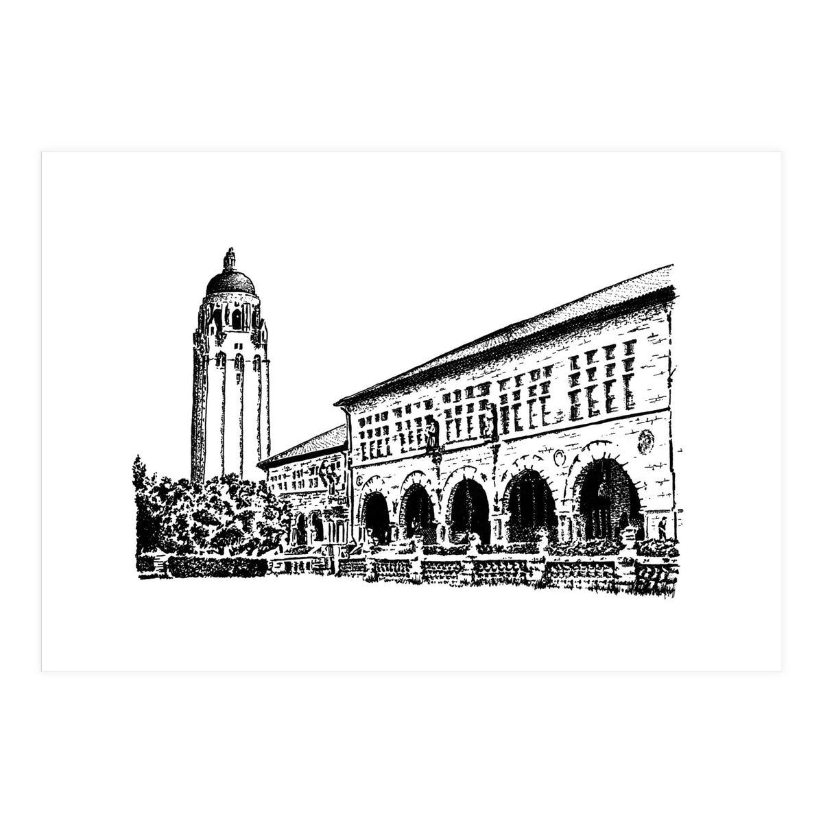 Stanford University (Print Only)