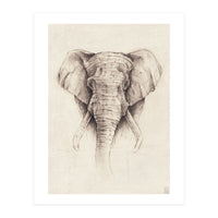 Elephant (Print Only)