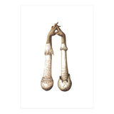 Handshrooms (Print Only) thumbnail