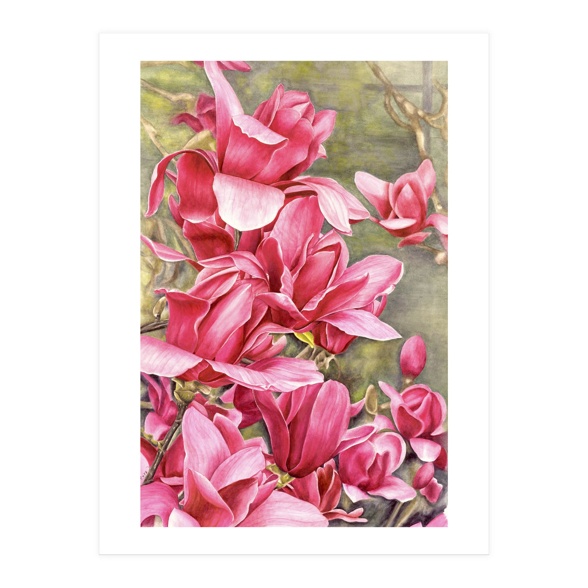 Magnolia 5 (Print Only)
