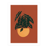 Botanical Boho Alocasia (Print Only) thumbnail