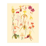 Orchids #3 (Print Only) thumbnail