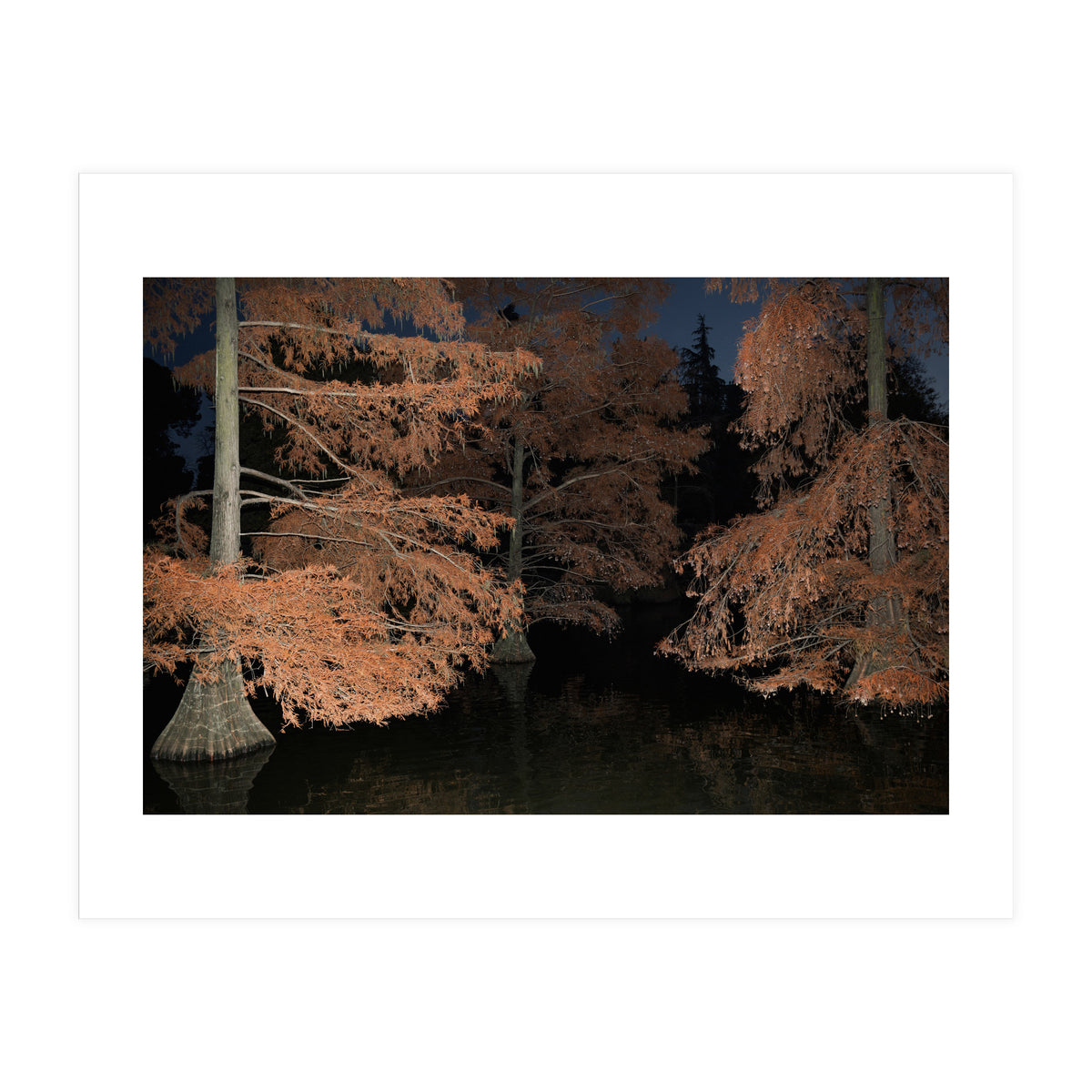 Sleepy Hollow (Print Only)