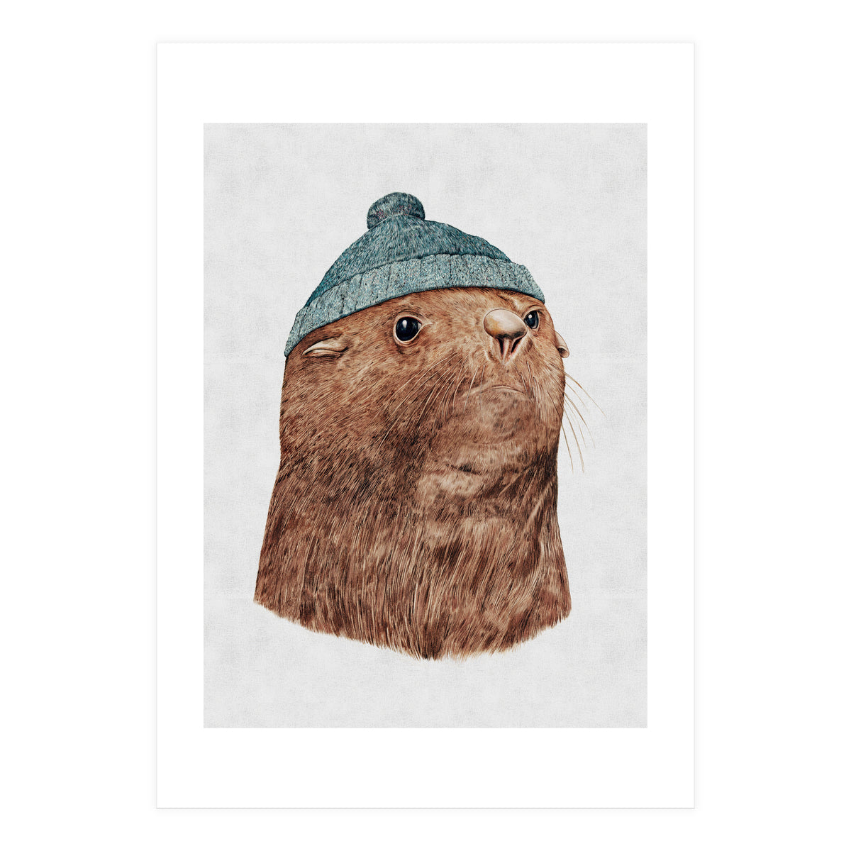 The Fur Seal (Print Only)