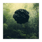 Blacks (Print Only) thumbnail