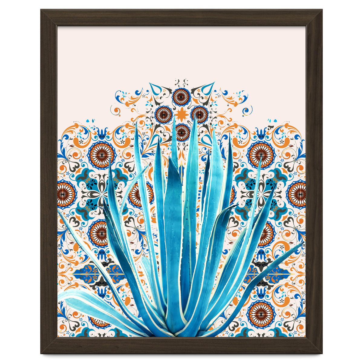 Cactus and Moroccan tiles