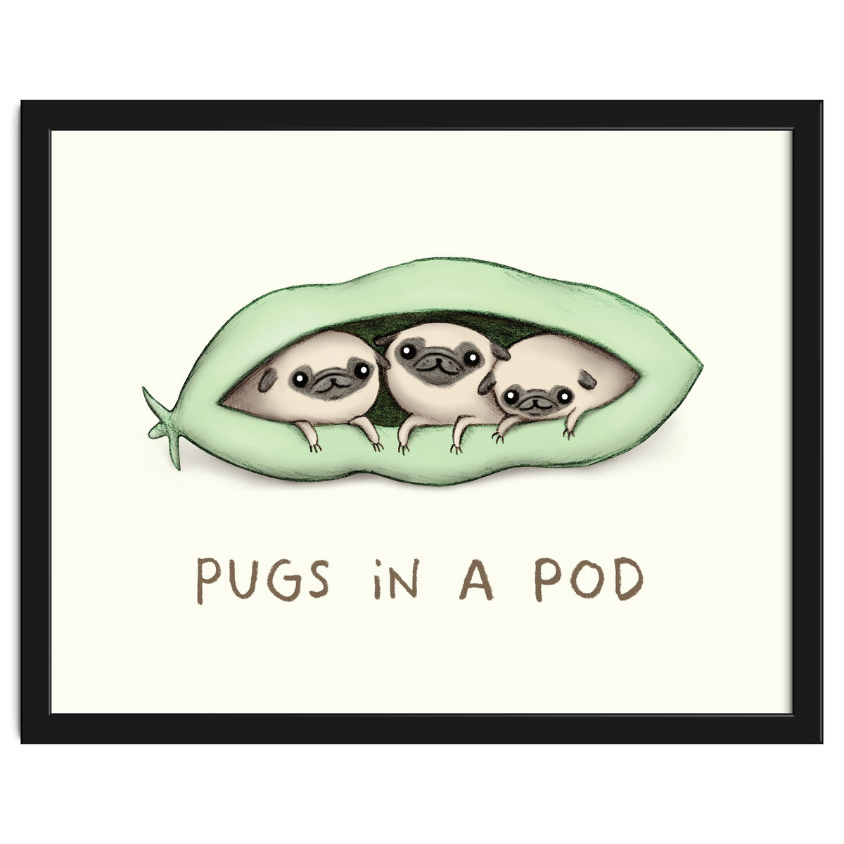 Pugs In A Pod