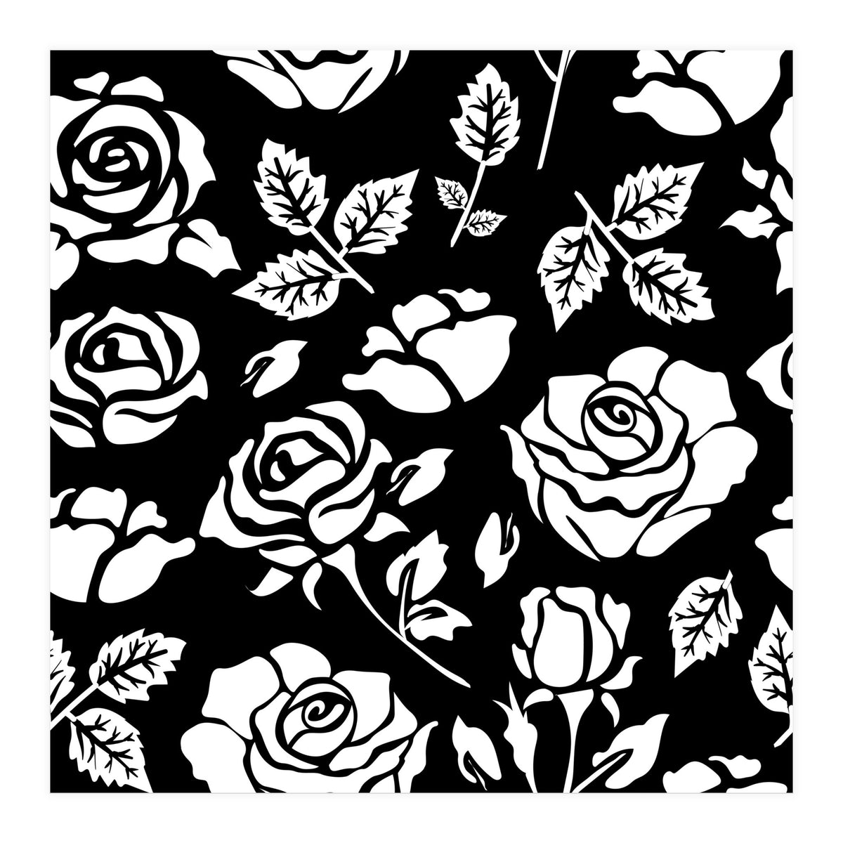 White Rose (Print Only)