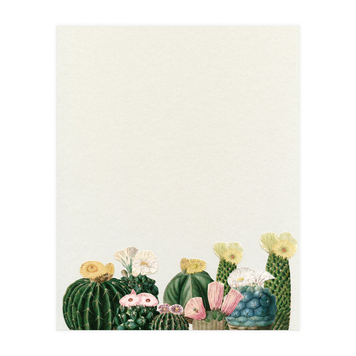 Cactus Garden (Print Only)