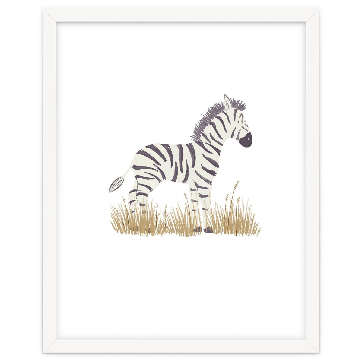Zebra