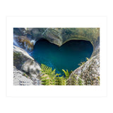 Nature (Print Only) thumbnail